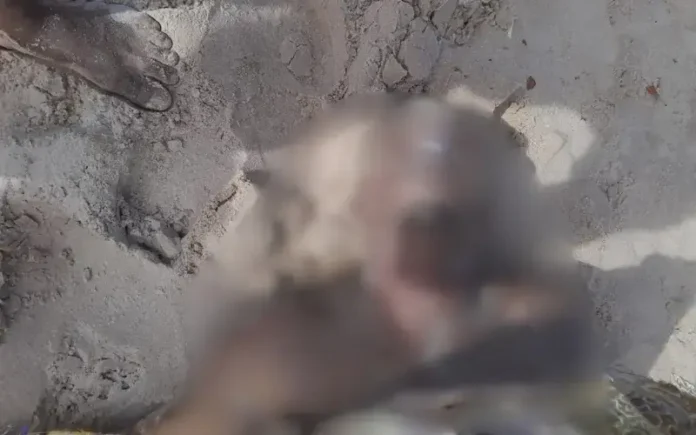 O caso expõe a ausência de guarda-vidas nos 42 km de praia de Camaçari, deixando moradores e turistas vulneráveis.